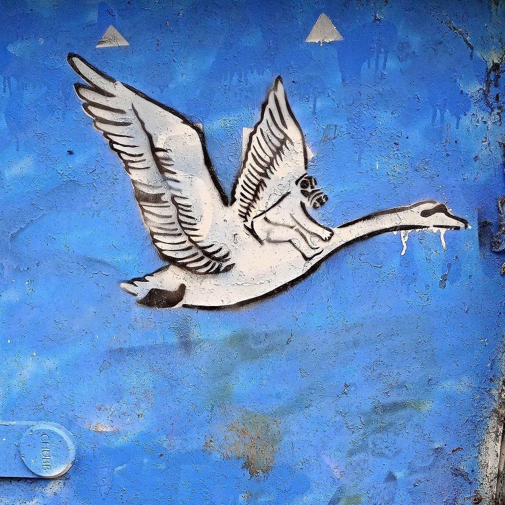 Graffiti in Caversham
