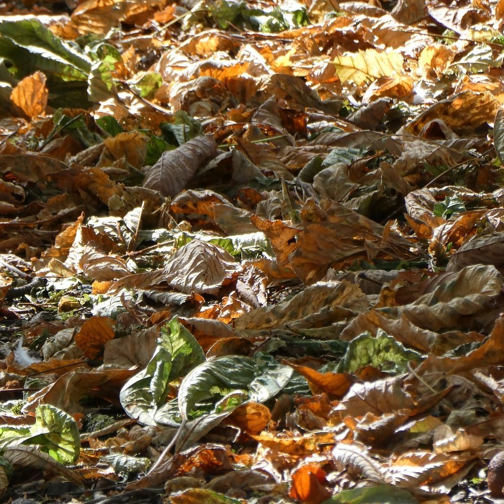 Photos reflecting the end of summer, 2025