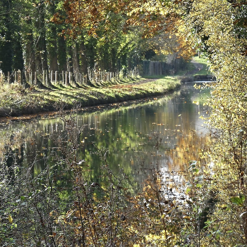 The Kennet and Avon canal